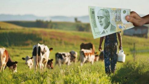 U APRILU DVA NOVA JAVNA POZIVA ZA SUBVENCIJE: Registrovano više od 7.000 novih poljoprivrednih gazdinstava