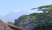 U SLUŽBI KILIMANDŽARA, PLANINE BOGOVA: U Tanzaniji, sa nosačima, vodičima, kuvarima, koji pomažu planinarskim ekspedicijama (FOTO)