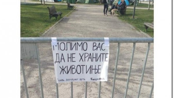 ФАШИЗАМ ЛАЖНЕ ЕЛИТЕ: Студенте који хоће да уче називају животињама које не треба хранити (ФОТО) ФАШИЗАМ ЛАЖНЕ ЕЛИТЕ: Студенте који хоће да уче називају животињама које не треба хранити (ФОТО)