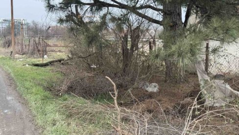 BAGEROM UPRAVLJAO DRUG Komšije stradalog tinejdžera u šoku: Trebalo je da krajem godine proslavi punoletstvo (FOTO) BAGEROM UPRAVLJAO DRUG Komšije stradalog tinejdžera u šoku: Trebalo je da krajem godine proslavi punoletstvo (FOTO)
