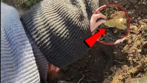 TREBA LI DA SE ZABRINEMO? Kopali baštu, vidite šta su našli u zemlji! Mreže se usijale od komentara TREBA LI DA SE ZABRINEMO? Kopali baštu, vidite šta su našli u zemlji! Mreže se usijale od komentara
