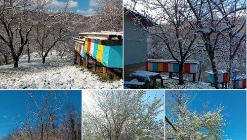 SNEG I SUSNEŽICA ŠIROM SRBIJE: Svi dele ove nestvarne prizore, a jedan je posebno čaroban (FOTO, VIDEO) SNEG I SUSNEŽICA ŠIROM SRBIJE: Svi dele ove nestvarne prizore, a jedan je posebno čaroban (FOTO, VIDEO)