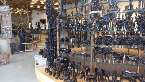 BRATSTVO ČVRSTO KAO EBONOVINA: Širom Tanzanije, u radionicama- galerijiama, rezbare se skulpture, čiju estetiku je razvio narod Makonde BRATSTVO ČVRSTO KAO EBONOVINA: Širom Tanzanije, u radionicama- galerijiama, rezbare se skulpture, čiju estetiku je razvio narod Makonde