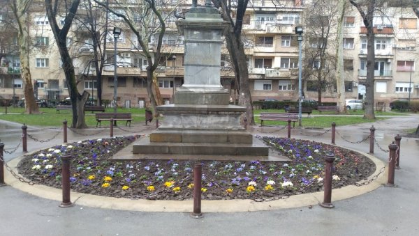 ЦВЕЋЕ УКРАСИЛО ГРАД: На бројним местима „освануле“ цветне леје ЦВЕЋЕ УКРАСИЛО ГРАД: На бројним местима „освануле“ цветне леје