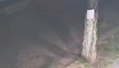 NOVI SNIMCI IZ ODŽAKA: Iza Miletićevog vozila išao i crni automobil (VIDEO) NOVI SNIMCI IZ ODŽAKA: Iza Miletićevog vozila išao i crni automobil (VIDEO)