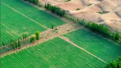 NAUKA ČINI ČUDA: Kina „ozelenila“ desetine hiljada kvadratnih kilometara pustinje Gobi (VIDEO) NAUKA ČINI ČUDA: Kina „ozelenila“ desetine hiljada kvadratnih kilometara pustinje Gobi (VIDEO)