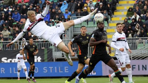 HRTOVI SE VRAĆAJU U POBEDNIČKU STAZU: Mastifi ne čuvaju dobro svoje dvorište