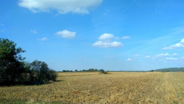ЗАКУП ДРЖАВНИХ ЊИВА: На годину дана издају се 434 пољопривредне парцеле ЗАКУП ДРЖАВНИХ ЊИВА: На годину дана издају се 434 пољопривредне парцеле