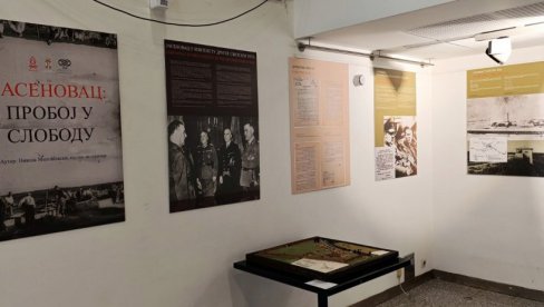 BEKSTVO OD JASENOVCA: Pozadina sukoba oko posete delegacije EP izložbi o Jasenovcu u holu Narodne skupštine Republike Srbije