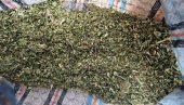 NOVA ZAPLENA DROGE U PARAĆINU: K. R. uhapšen zbog 9,5 kilograma marihuane (FOTO)