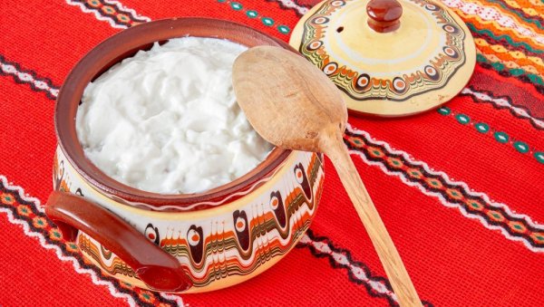 РЕЦЕПТ ЗА ДОМАЋИ БУГАРСКИ ЈОГУРТ: Густ и кремаст, још укуснији када је домаћи РЕЦЕПТ ЗА ДОМАЋИ БУГАРСКИ ЈОГУРТ: Густ и кремаст, још укуснији када је домаћи