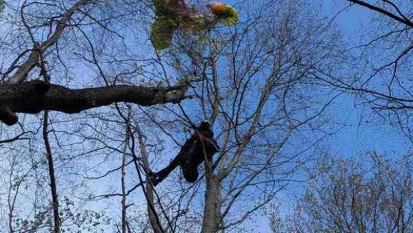 ПИЛОТ СЕ ЗАГЛАВИО У КРОШЊИ: Драма на Фрушкој гори, припадницима ГСС стигао хитан позив (ФОТО) ПИЛОТ СЕ ЗАГЛАВИО У КРОШЊИ: Драма на Фрушкој гори, припадницима ГСС стигао хитан позив (ФОТО)