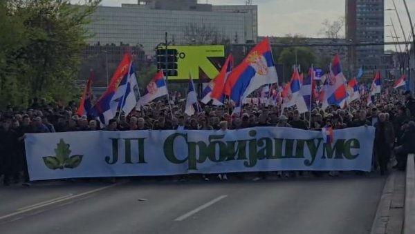 ОГРОМНА ПОДРШКА: Србија шуме стижу на свенародни скуп у Београд (ВИДЕО) ОГРОМНА ПОДРШКА: Србија шуме стижу на свенародни скуп у Београд (ВИДЕО)