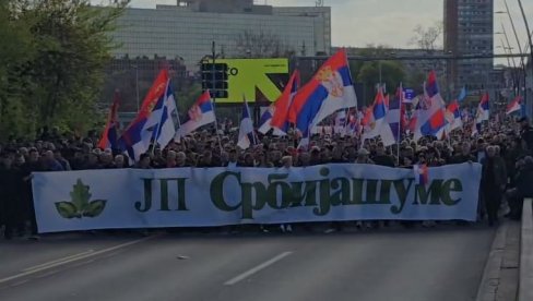 OGROMNA PODRŠKA: Srbija šume stižu na svenarodni skup u Beograd (VIDEO) OGROMNA PODRŠKA: Srbija šume stižu na svenarodni skup u Beograd (VIDEO)