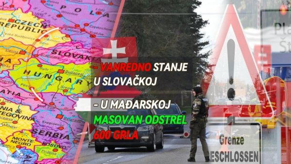 ПОСЛЕ УВОЂЕЊА ВАНРЕДНОГ СТАЊА У СЛОВАЧКОЈ: И у Мађарској напето - масован одстрел 600 грла! Сабласне сцене у ЗОО вртовима у Братислави ПОСЛЕ УВОЂЕЊА ВАНРЕДНОГ СТАЊА У СЛОВАЧКОЈ: И у Мађарској напето - масован одстрел 600 грла! Сабласне сцене у ЗОО вртовима у Братислави