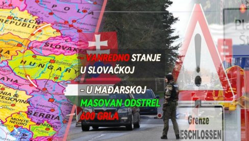 POSLE UVOĐENJA VANREDNOG STANJA U SLOVAČKOJ: I u Mađarskoj napeto - masovan odstrel 600 grla! Sablasne scene u ZOO vrtovima u Bratislavi POSLE UVOĐENJA VANREDNOG STANJA U SLOVAČKOJ: I u Mađarskoj napeto - masovan odstrel 600 grla! Sablasne scene u ZOO vrtovima u Bratislavi