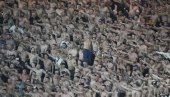 ONI SU NAJGORI NAVIJAČI U EVROPI! UEFA izrekla neverovatnu kaznu, ovakve huligane niko nema!