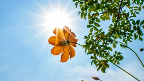 СТУЖЕ НАМ ПРОЛЕЋНО ВРЕМЕ: Ево када можемо очекивати 20 степени