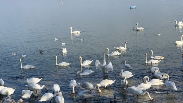 ВРЕМЕ ДАНАС: Падаће киша