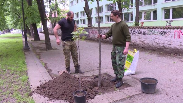 ВЕЋЕ АКЦИЈЕ НА ЈЕСЕН: Омладински парламент Јагодине почео са озелењавањем града ВЕЋЕ АКЦИЈЕ НА ЈЕСЕН: Омладински парламент Јагодине почео са озелењавањем града