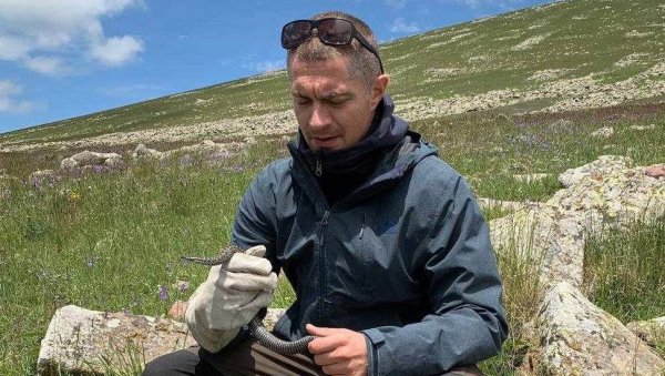 УГРОЖЕНА ВРШАЧКА ШАРКА: Већ две године нису виђени младунци једине отровне змије на тлу Војводине УГРОЖЕНА ВРШАЧКА ШАРКА: Већ две године нису виђени младунци једине отровне змије на тлу Војводине