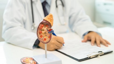 FUNKCIONALNO SU VEOMA VAŽNI I POVEZANI: Kada oboli srce proverite rad bubrega i obrnuto