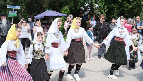 TAMIŠ JE JAŠOM KOLO VIO TAMIŠ JE JAŠOM KOLO VIO