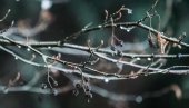 (MAPE) JUTRA I NOĆI ZA SMRZAVANJE: Od četvrtka nagli pad temperature, stiže i sneg