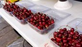 OVE GODINE ŠTO SE TIČE TREŠANJA JE KATASTROFA Paprena cena ovog voća na pijaci, prodavac otkrio koliko ima zarade na jedan kilogram