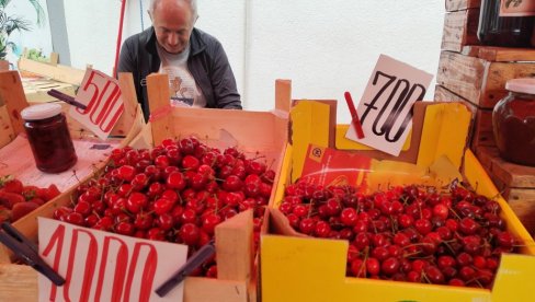 TREŠNJE KUPUJU NA KOMAD: Posle prolećnih mrazeva prvi majski crveni plodovi dostigli 1.500 dinara za kilogram TREŠNJE KUPUJU NA KOMAD: Posle prolećnih mrazeva prvi majski crveni plodovi dostigli 1.500 dinara za kilogram