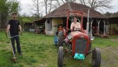 ZIBEN SE NA TRAKTORU ODMARA: Za domaćina iz Despotovca, Darka Miladinovića, sezona traje 365 dana u godini