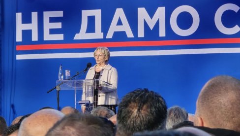 СРБИЈА НЕЋЕ БИТИ ТАОЦ ТУЂИХ ИНТЕРЕСА Крстић: Ово је град храбрости и достојанствених људи