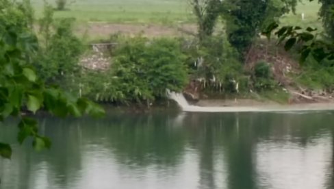 UTOPIO SE MIGRANT U DRINI: Užas kod Loznice, pronađeno telo, čovek ispao iz čamca? (FOTO)