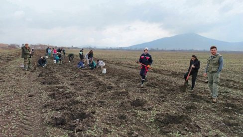 POSADILI PREKO 23.000 SADNICA: Uspešno pošumljavanje nizijskog dela Vršačkih planina POSADILI PREKO 23.000 SADNICA: Uspešno pošumljavanje nizijskog dela Vršačkih planina