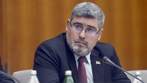 DA LI BI U EVROPI PROŠLI NEKAŽNJENO POLICAJCI KOJI UPADAJU U SPORTSKE OBJEKTE: Ministar Starović osudio nasilje Prištine u Leposaviću