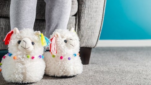 DAN VESELIH PAPUČA : 28. maj - Dan dece bez roditeljskog staranja DAN VESELIH PAPUČA : 28. maj - Dan dece bez roditeljskog staranja
