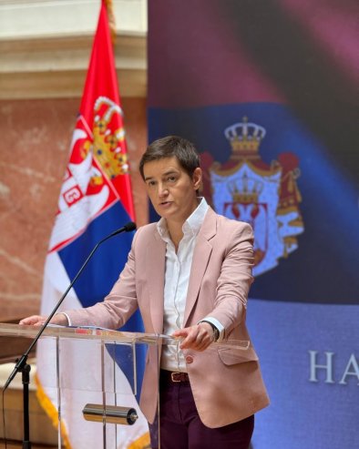 БРНАБИЋЕВА: Свака победа блокадера увек значи да је Србија нешто изгубила (ВИДЕО)