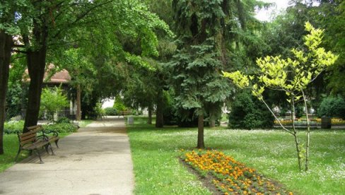 BORAJU NAJLEPŠE DVORIŠTE I TERASU: Konkurs  Zeleni izazov u Zrenjaninu     