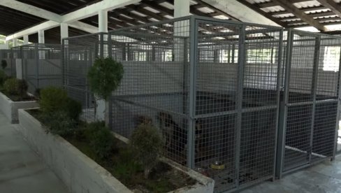 СКЛОНИШТЕ ЗА ПСЕ ЛУТАЛИЦЕ: У селу Добриње обезбеђен објекат за смештај око 200 животиња без дома (ФОТО)