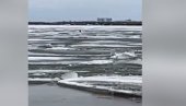 СПАШЕНА КЕРУША КОЈА ИМА СЕДАМ ШТЕНАЦА: Животиња плутала на санти леда, а онда су добри људи кренули у акцију (ВИДЕО)