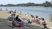НА АДИ ПОЧЕЛО МАСОВНО КУПАЊЕ: Ово су цене хране и пића на београдском мору НА АДИ ПОЧЕЛО МАСОВНО КУПАЊЕ: Ово су цене хране и пића на београдском мору
