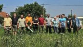 ПРВА АКЦИЈА ВРШАЧКИХ ГОРАНА: Волонтери орезивали дрворед на Средиштанском путу