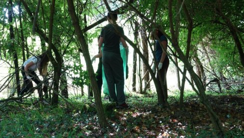 ĐACI IZ BAČKOG BREGA ČISTILI SELO: Učenici organizovali veliku ekološku akciju ĐACI IZ BAČKOG BREGA ČISTILI SELO: Učenici organizovali veliku ekološku akciju