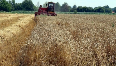 МИЛИОНИ ЗА ПОЉОПРИВРЕДНИКЕ: Објављена дугоочекивана ИПАРД листа, зна се ко добија помоћ