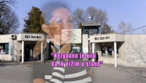 НЕЗГОДНО ДА БУДУ У КУЋИ: Карлеуша однела 2 животиње у ЗОО врт НЕЗГОДНО ДА БУДУ У КУЋИ: Карлеуша однела 2 животиње у ЗОО врт