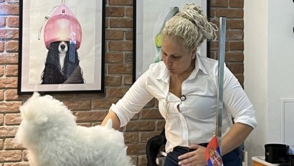 СРЕЂУЈУ МЕЗИМЦЕ И БЕЗ ЛИЦЕНЦЕ: Смрт пудле Тили после третмана, отворила питање начина и услова рада грумера СРЕЂУЈУ МЕЗИМЦЕ И БЕЗ ЛИЦЕНЦЕ: Смрт пудле Тили после третмана, отворила питање начина и услова рада грумера