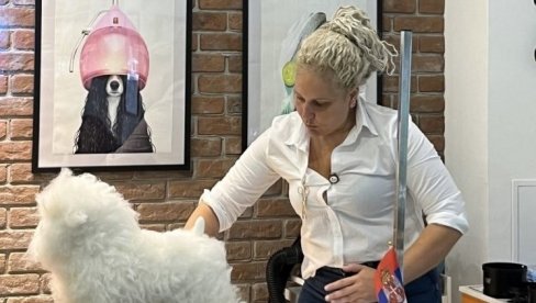 SREĐUJU MEZIMCE I BEZ LICENCE: Smrt pudle Tili posle tretmana, otvorila pitanje načina i uslova rada grumera