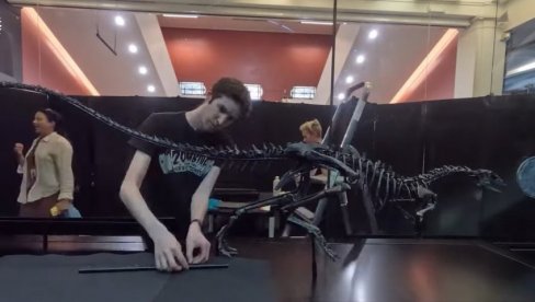BIO JE VELIČINE LABRADORA:  Nova vrsta dinosaurusa Zagonetni trkač u britanskom Prirodnjačkom muzeju (VIDEO)