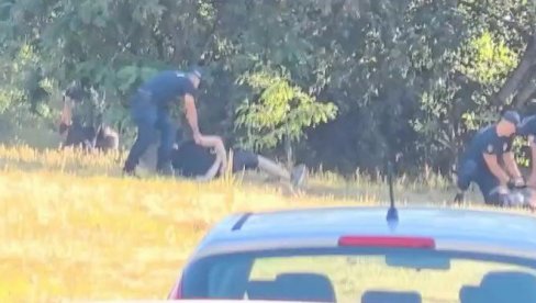 POLICIJA HAPSI ZLIKOVCE SA FANTOMKAMA! (VIDEO)