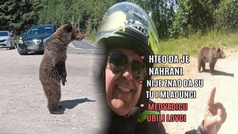 ХОРОР У СРПСКОМ КОМШИЛУКУ Снимио сопствену смрт! Наишао на медведицу, хтео да је нахрани - није знао да има младунце (УЗНЕМИРУЈУЋЕ) ХОРОР У СРПСКОМ КОМШИЛУКУ Снимио сопствену смрт! Наишао на медведицу, хтео да је нахрани - није знао да има младунце (УЗНЕМИРУЈУЋЕ)